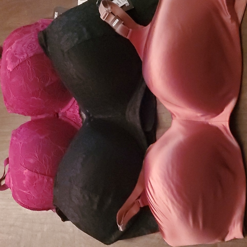 "Torrid" - Bras